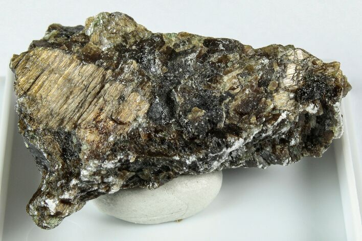 Raw Bronzite (Enstatite) Specimen - Austria #345036